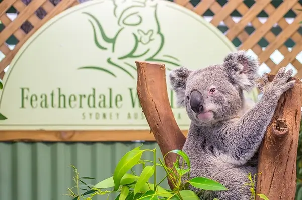 Sydney Featherdale Wildlife Park Tour