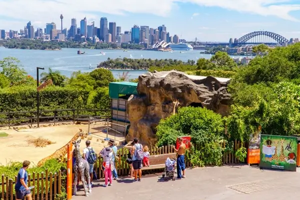 Sydney Zoo and Blue Mountains Private Tour