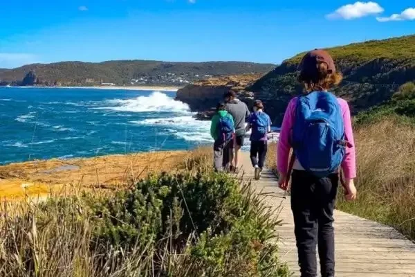 Sydney Beaches and City Tour